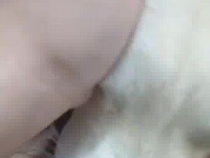 Chinese dog take turns licking my pussy
