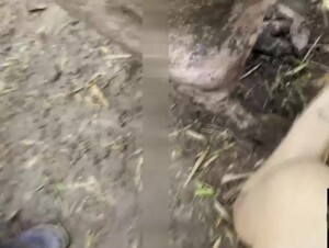 Exclusive Mia With Pig (AlissonProd)