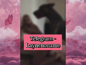 My dog does it better !