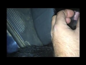 Man Fuck Dog In bedroom