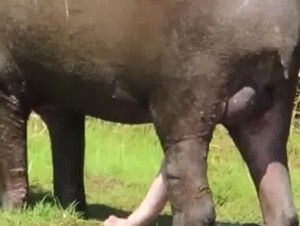 Vicman777 Camoteando a la puta Cecilia