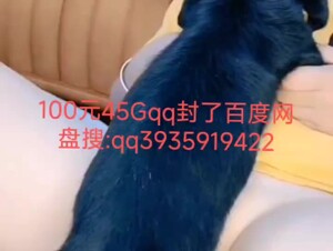 广西北海的垃圾50不卖给你就举报这辈子也吃不上俩个菜了