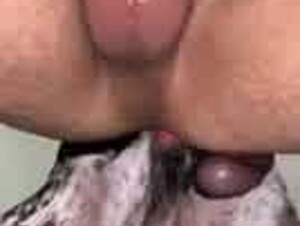Dog boy anal