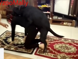 Chinese party has bestiality 1