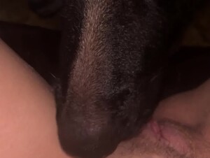 Girl Gets a Good Dog Lick