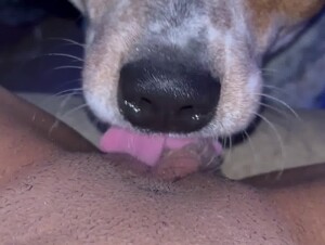 Girl Letting Dog Eat her Out