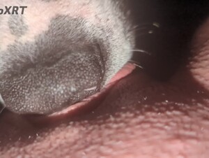 Horny Girl Getting Licked