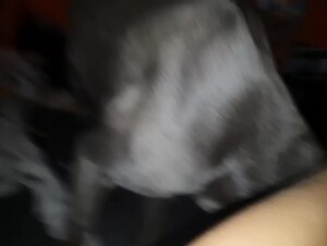 Csajom megengedte a kutyámnak,hogy közénk jöjjönl.Első!