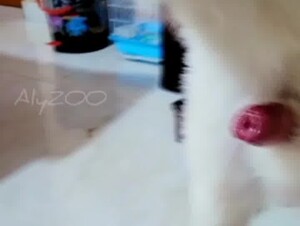 The beginning of a 18yo sexual life 1