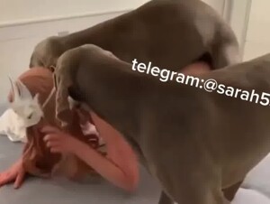 Knotting with my two dogs