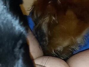 Mill feeds her dogs well!