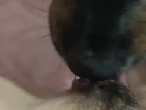 出网站100元里面国内兽，小马拉大车各种稀缺都有百度网盘搜qq3935919422