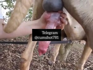 Sucking huge cock
