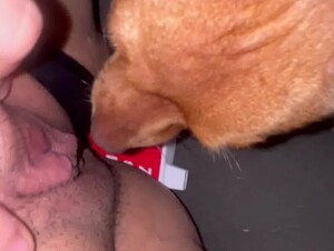 Girl Letting Dog Eat her Out