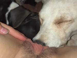 Horny Girl Getting Licked