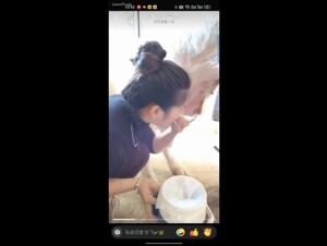 Asian Woman Sucking a Pig (1-5)