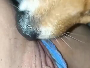 18yo virgin pussy gets licked 1