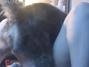 Wife missonary with dog