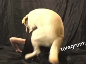 Sweetest moment with my dog