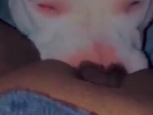 Horny Girl Getting Licked