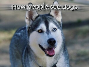 zaraPMV - Edit Ola Ola