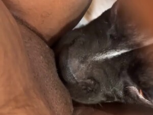 Girl Letting Dog Eat her Out