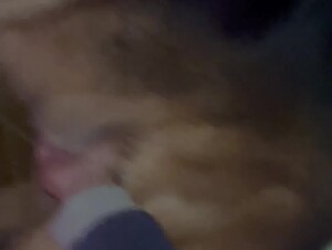 Handjob for beautiful dog