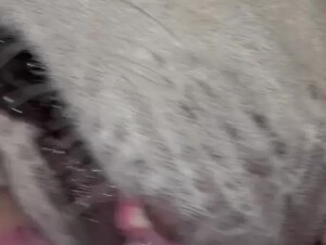 Horny Girl Getting Licked