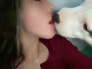 Kissing and licking