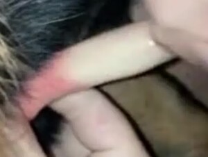 Girl Enjoys Giving her Dog Blowjob