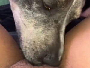 Dog Eats his Owner's Pussy