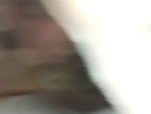 Mi perro me lame rico