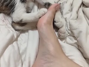 Cat & feet 4