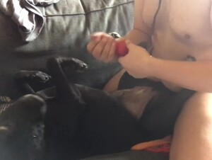 bitch with dogcock dildo