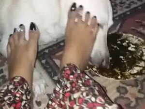 Dog & feet 2