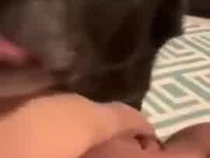 loud chubby slut licked by her dog