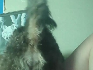 Horny girl fucking in missionary style alone on her bed and TV is on