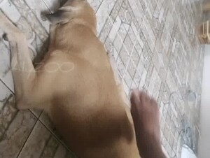 The secret life of a decent wife 1