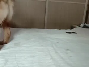 Chinese bbw woman and dog