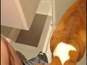 A dog and french girl