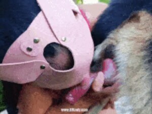 K9lady Royal place by Analina