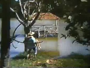 Meu Cachorro Meu Amante (1986)