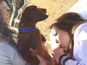 Double blowjob with cumshot in the face