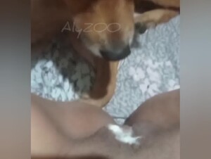 Teen beyond curiosity 1