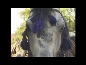 Big women - Anelia Compilation 5