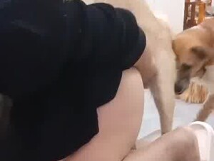 Chinese dog sex whole collection 3