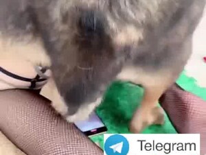 Chinese farmer's wife fuck by dog