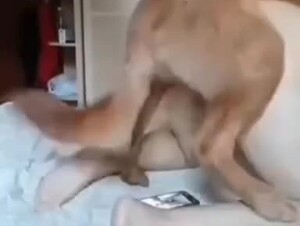 Chinese big fat butt woman and dog