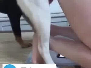 Chinese Dog take turns sticking her butt