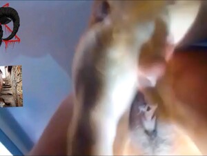 Caiu na net a depósito de porra sendo fudida pelo pau maluco do vira lata